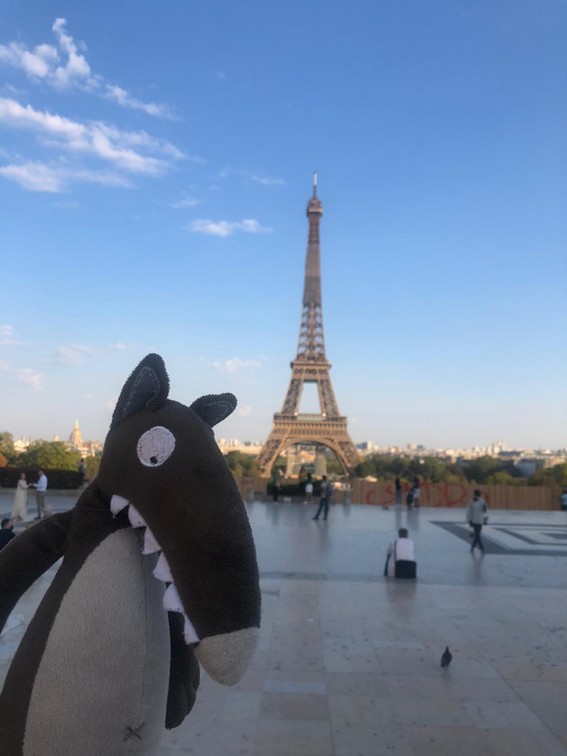 Créés par isabelle morin, une maman baroudeuse qui a fait le tour du monde avec ses trois enfants, ces kits de voyage ludiques et créatifs entraînent les . Le Loup est Ã  Paris | La Mater de Vlynette