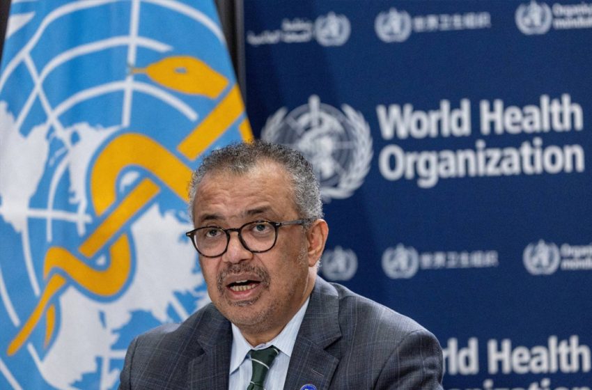 منظمة الصحة العالمية تدعو إلى اتخاذ إجراءات منسقة عالمياً للسيطرة على تفشٍ جديد لجدري القردة .
