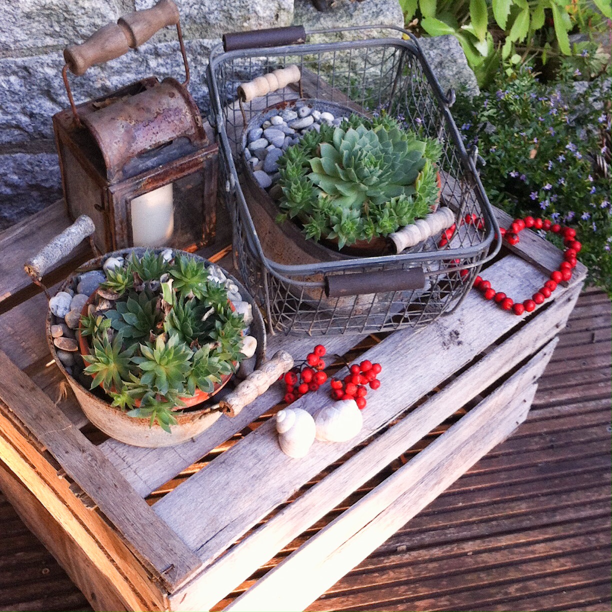 Die biskotten zwischen tortenring und kuchen hineinstellen. Meine Herbst-Deko 2015 - ganz einfach selbst gemacht