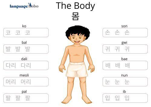 Khmer alphabet | cambodian nation. Korean Worksheets For Beginners The Body Free Pdf Download Language Hobo