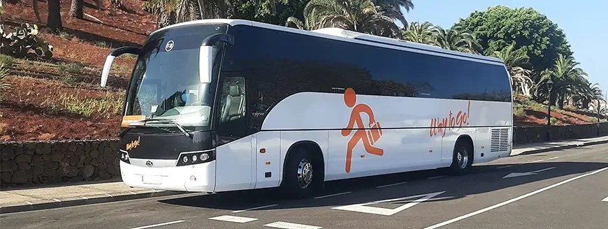 Bus Transfers
