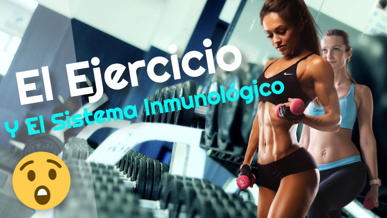 el ejercicio