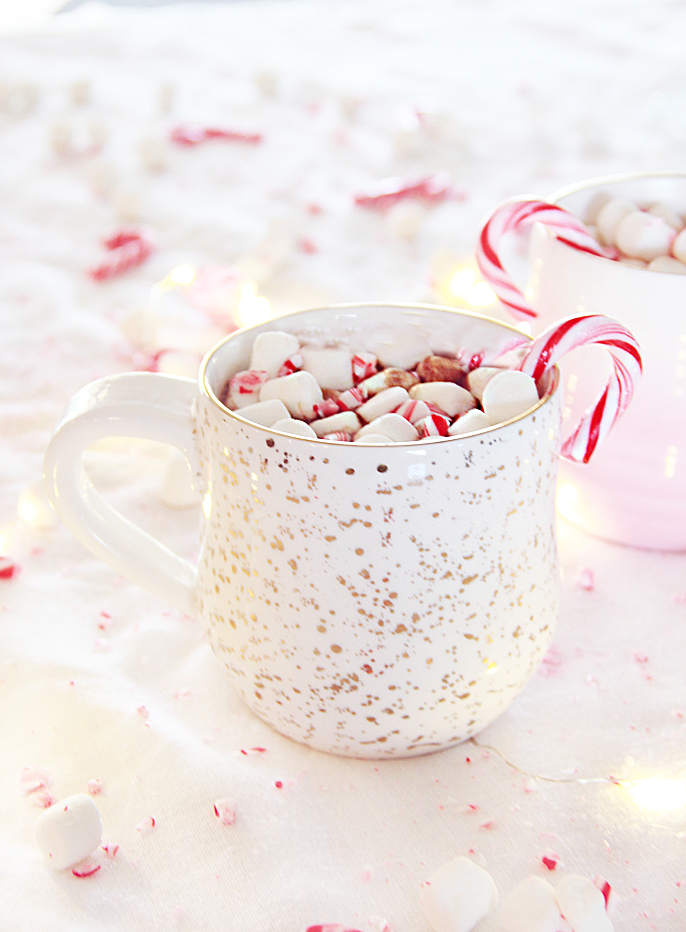 Nutella Peppermint Hot Chocolate Spiked Or Not Recipe A Bubbly Life