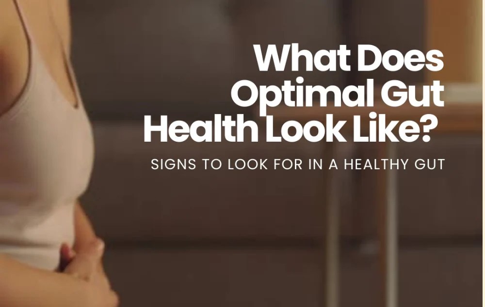 What Does Optimal Gut Health Look Like? (All-Photo Info) - Layer Origin ...