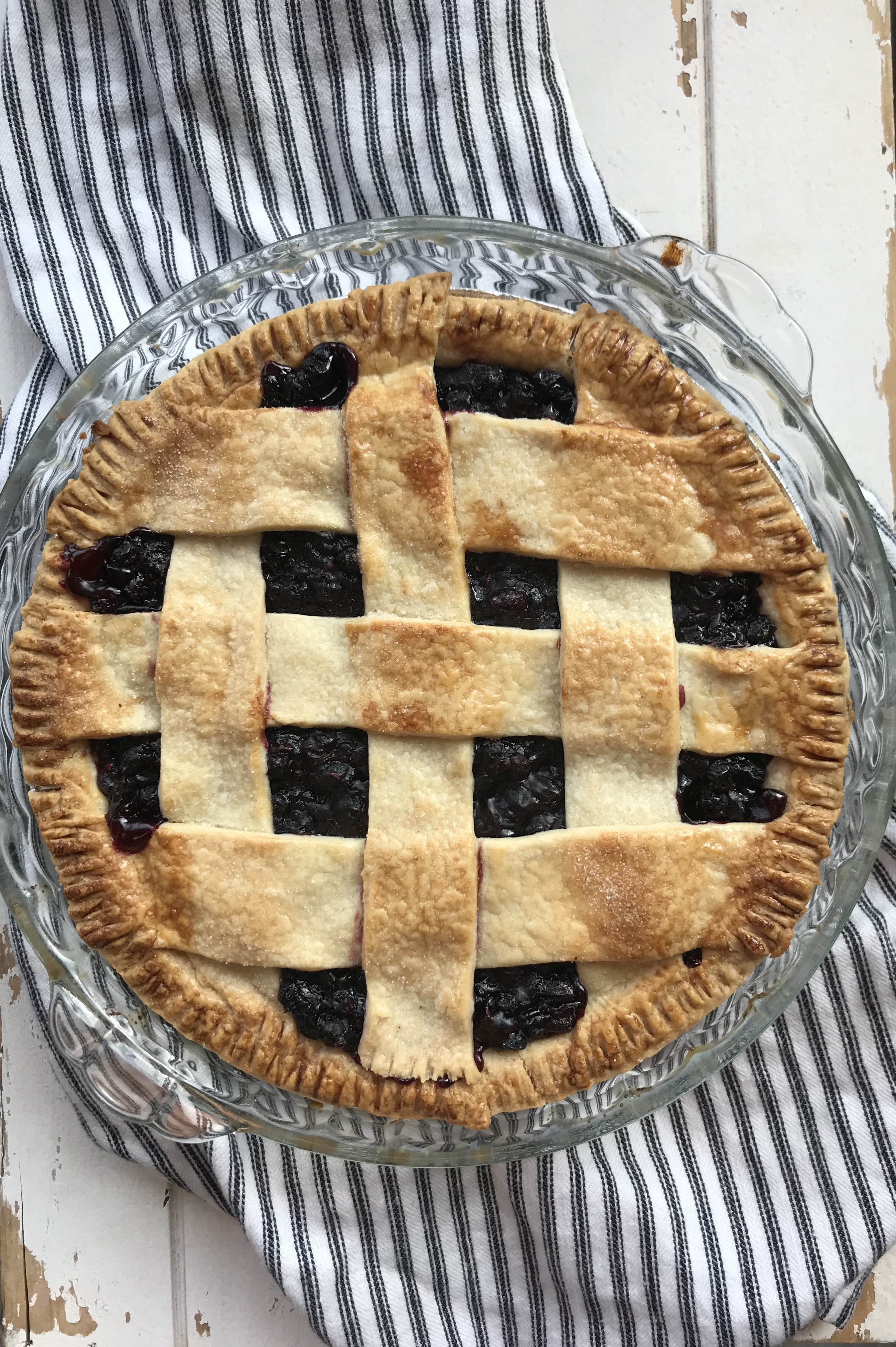 Saskatoon Pie Recipe Lazy Spoon Farms