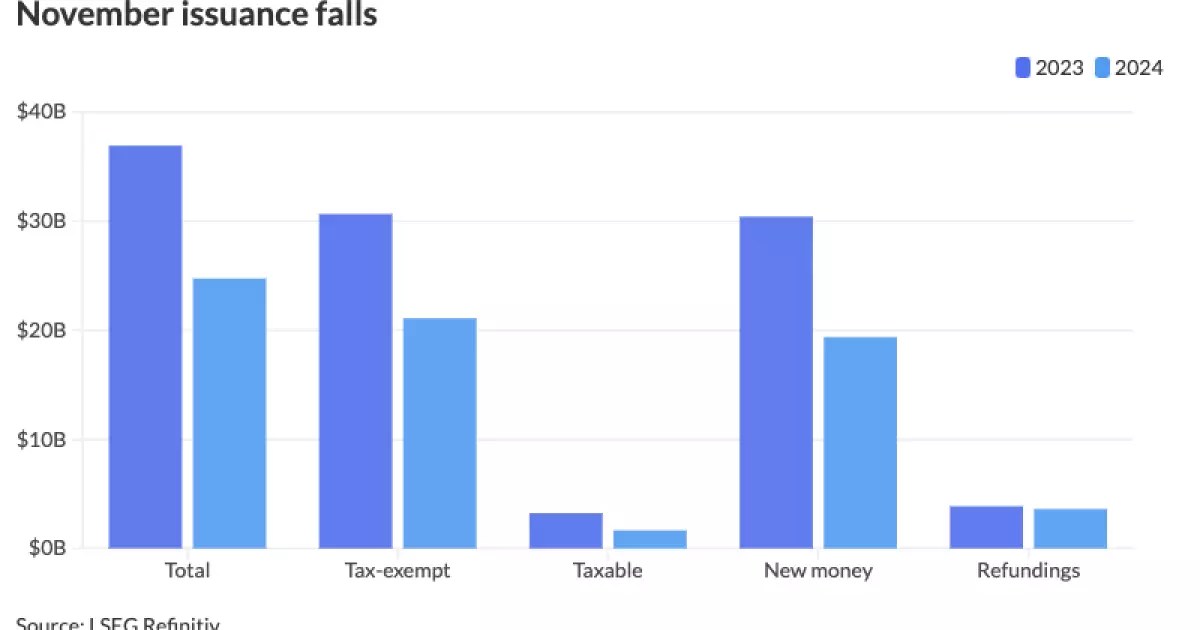 Assessing the Slowdown: November Bond Issuance and Its Implications for 2024