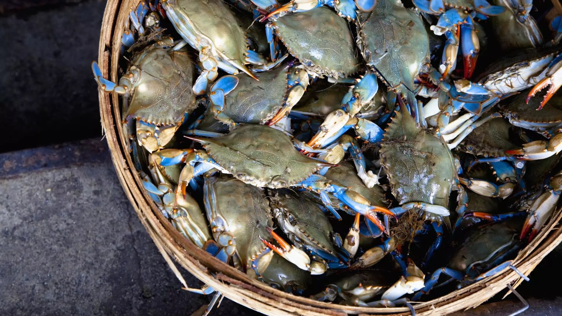 48 Billionaires Funding Innovation: How Family Offices Offset VC Limitations