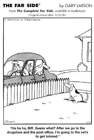 Neutering For Or Against The Complex Subject Of Canine Sex Hormones And Neutering Leadchanges Neutering For Or Against The Complex Subject Of Canine Sex Hormones And Neutering Leadchanges