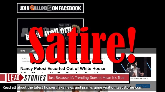 Facebook Refuses To Delete Fake Nancy Pelosi Video That Makes Her Seem ... Nancy pelosi net worth 196 million fake news