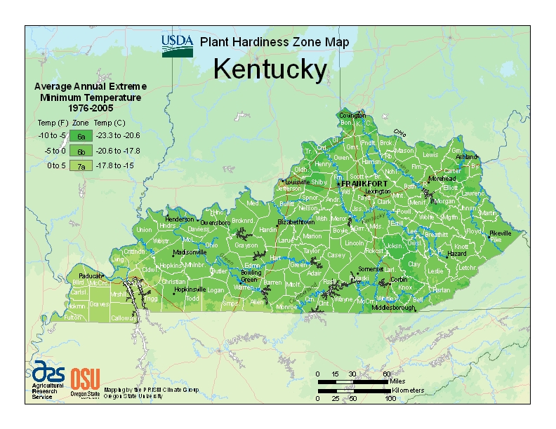 Here are several plants to consider as you plan your winter landscape. Plant Hardiness Zones Kentucky Climate