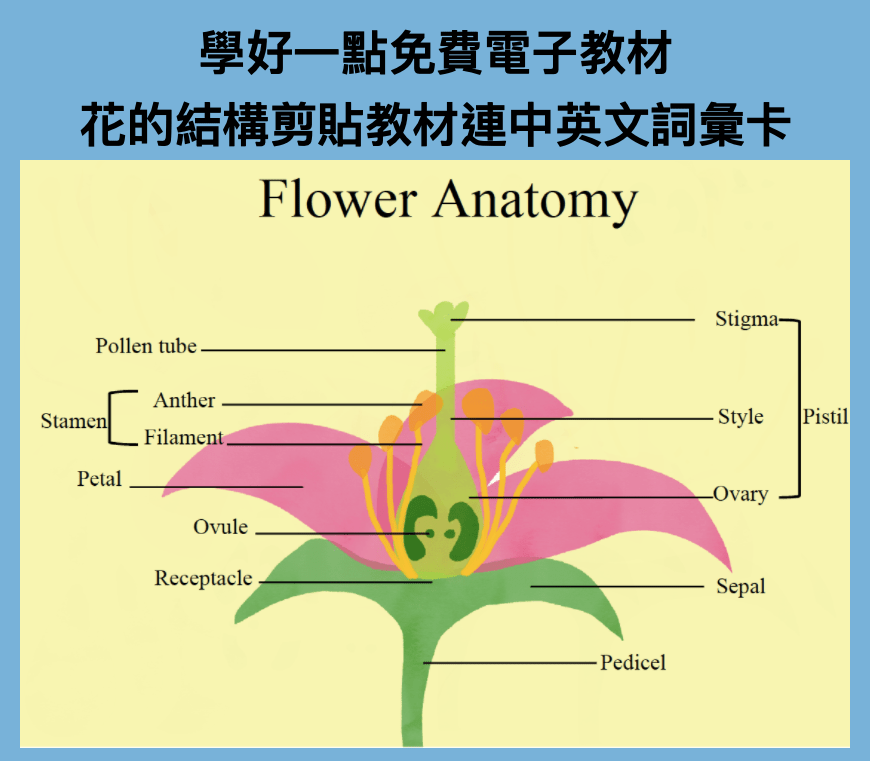 花的構造英文about Lhlv