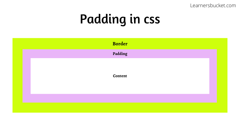 What Is Padding Property Of Css Learnersbucket