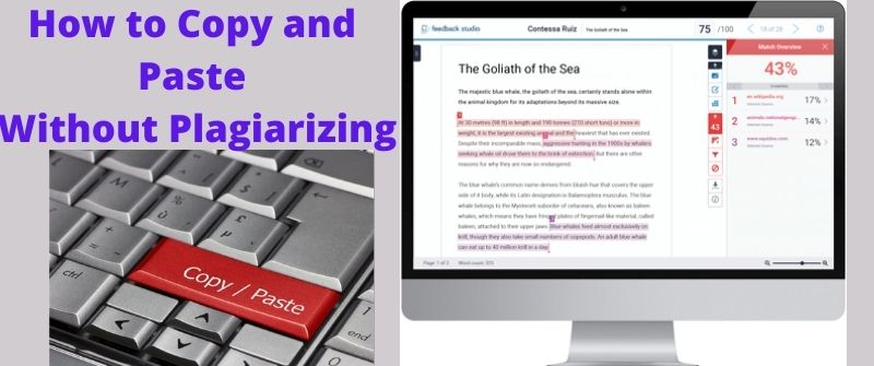 One of the oldest essay typing websites is essaytyper.com.registered members are able to copy and paste their essays as an ms word document. How To Copy And Paste Without Plagiarizing 8 Ways To Copy