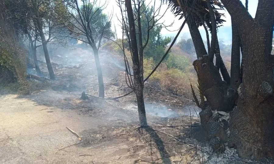 حريق كبير في مغدوشة وإخلاء عدد من المنازل حريق كبير في مغدوشة وإخلاء عدد من المنازل