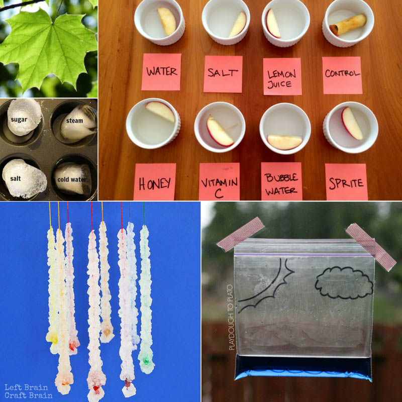 If you haven't done so alr. The Coolest Science Fair Projects For Kids Left Brain Craft Brain