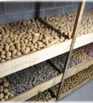 Хранение картофеля в квартире. Как организовать хранение картофеля зимой так, чтобы он пролежал до весны. Режимы для клубней картофеля