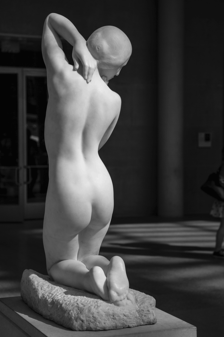 Fragilina-Backview-Version-2