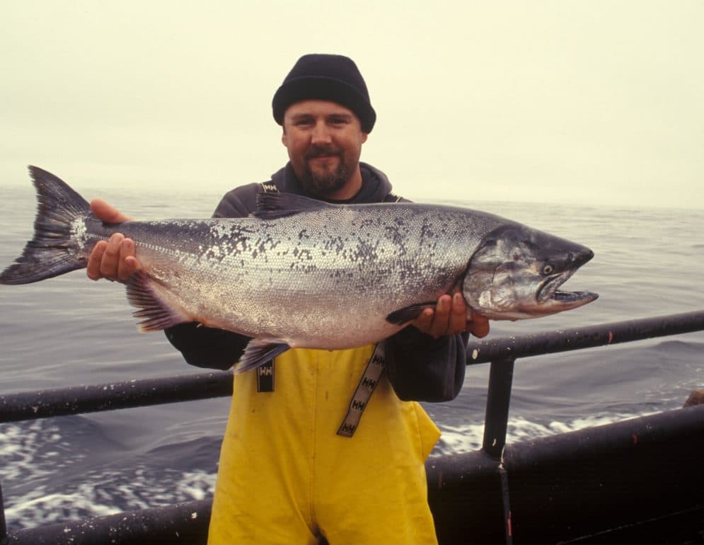 Marin Pecheur Un Metier Passion Essentiel A L Economie Maritime