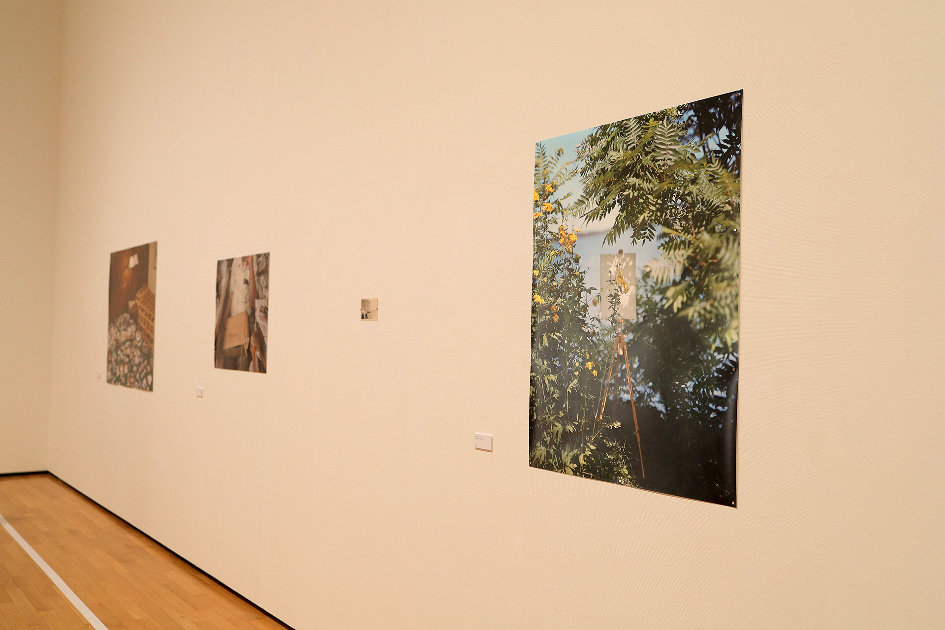 アレック・ソス Gathered Leaves」神奈川県立近代美術館 葉山