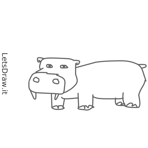 Hoe Teken Ik Nijlpaard Ct8e891hm Png Stap Voor Stap Tekenen