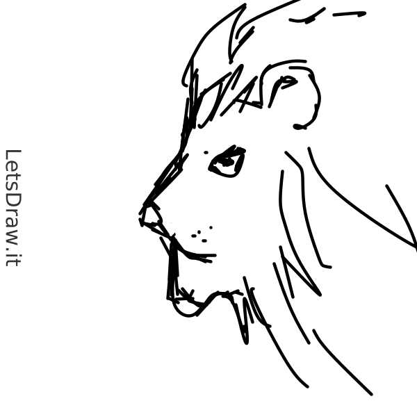 How To Draw Lion Ofsbnjk7s Png Step By Step Drawing