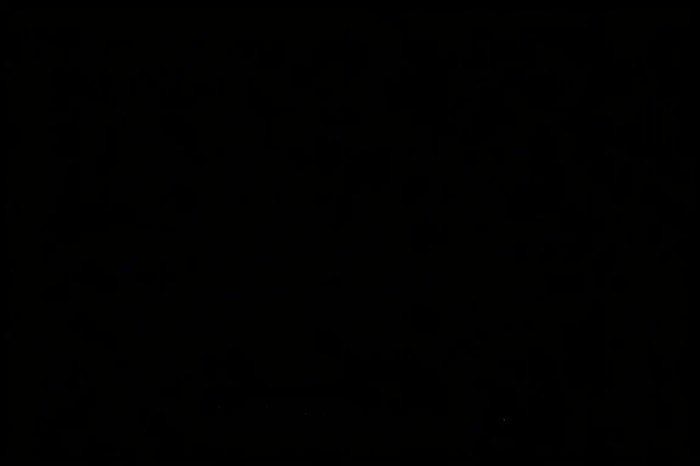 Free Black Pusst An Artistic Movement Unbound Free Black Pusst An Artistic Movement Unbound