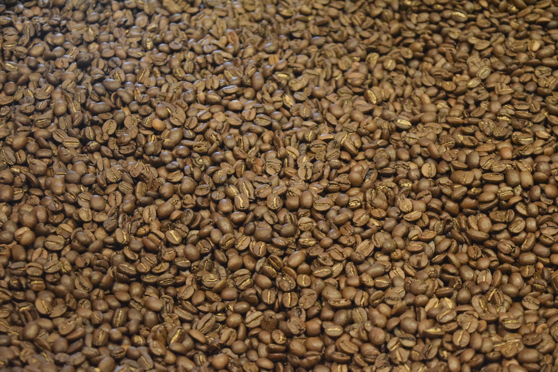 Descriptive Phrases Are For Everyone’s Use – Vanilla Java Porter Denied ...