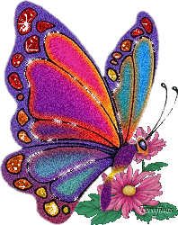 Mariposas Imagenes Glitters Gifs A Full Librakko