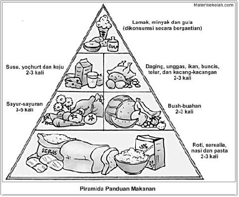 Menu makanan 4 sehat 5 sempurna penting diwujudkan demi mendapatkan kandungan gizi yang . 2012201813dsbab2001