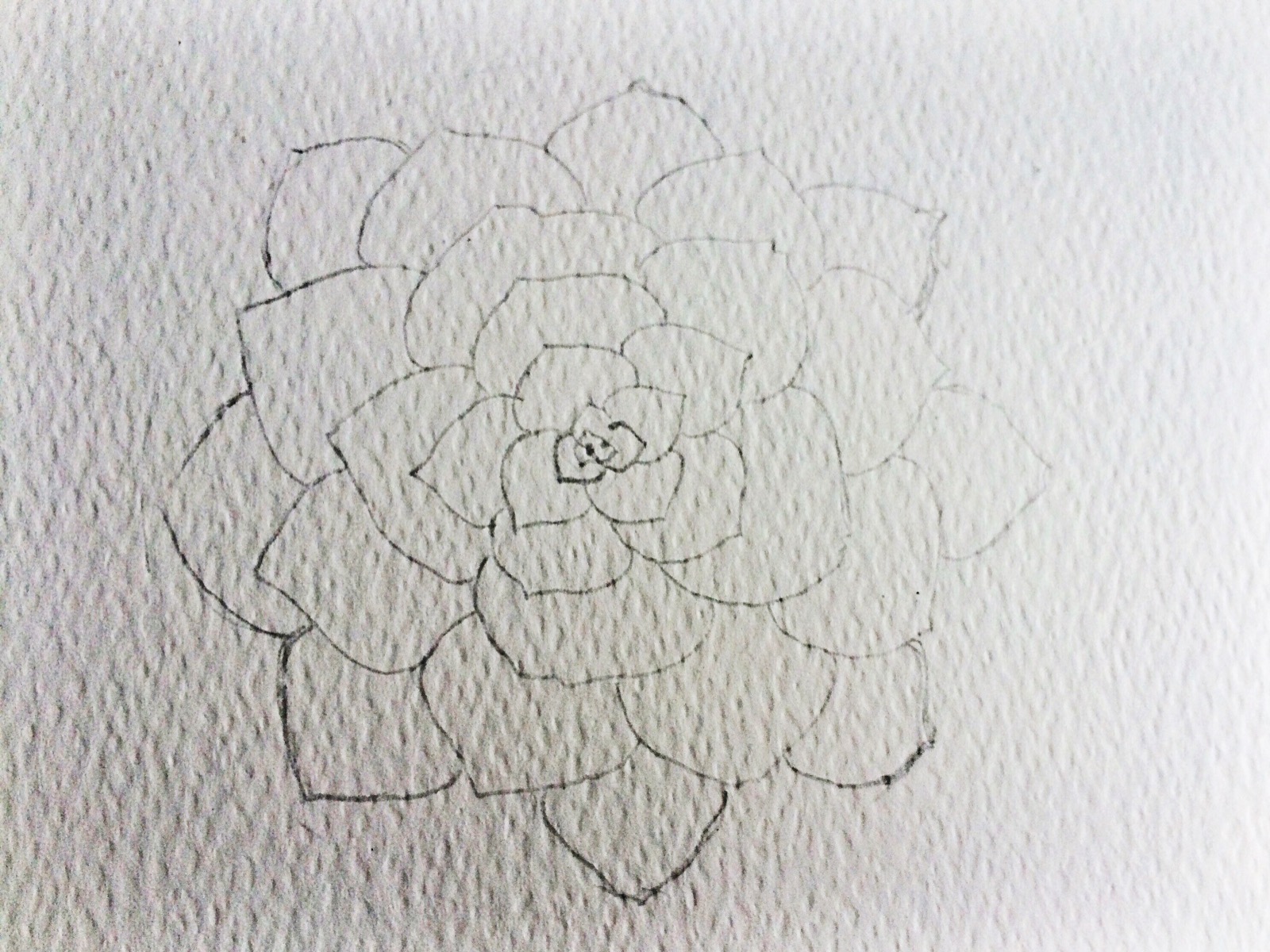 Bring out your inner artist as you learn how to draw a poppy. Watercolor Succulent Tutorial Part 1 Life Athon