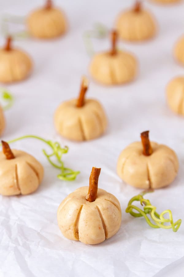 a field of small pumpkins with vines around them.