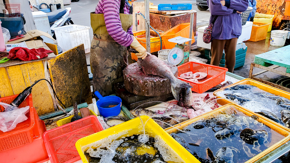 【澎湖景點】澎湖最大漁獲集散地｜早起才逛的到的魚市場｜體驗夜半時間的喝魚仔｜新鮮魚貨零售~馬公第三漁市場