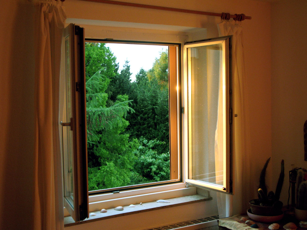 Blinds can either sit within the window casing, which gives the window a clean, streamlined look, or they can rest outside the window casing, concealing the wind. Open Window Lifeismanythings