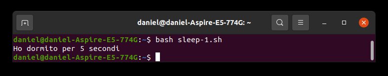 bash sleep 2