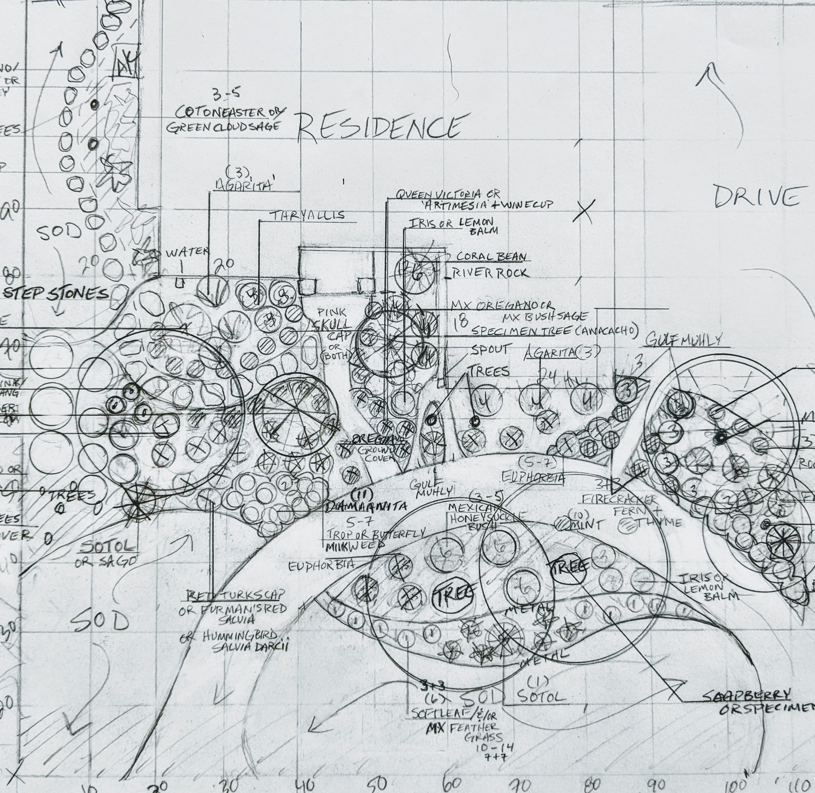 Hand Drawn Landscape Design | Lisa's Landscape & Design Hand Drawn Landscape Design | Lisa's Landscape & Design