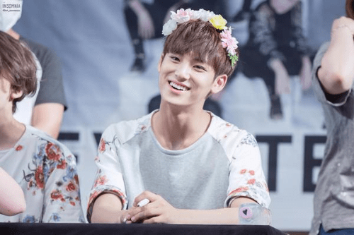 Wonwoo, 1,82 m (6'0”) ; Listography Notes Mingyu And Wonwoo S Profiles