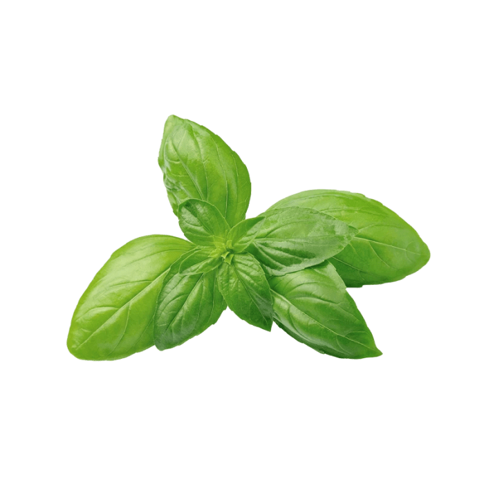 Basil | Rotten Tomatoes