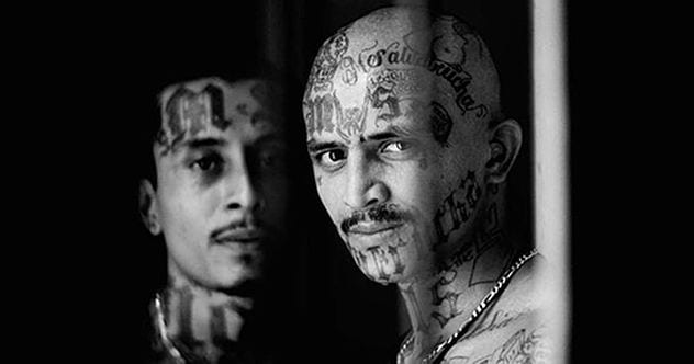 Top 10 Reasons Ms-13 Should Terrify You - Listverse 332_x_632_jpg