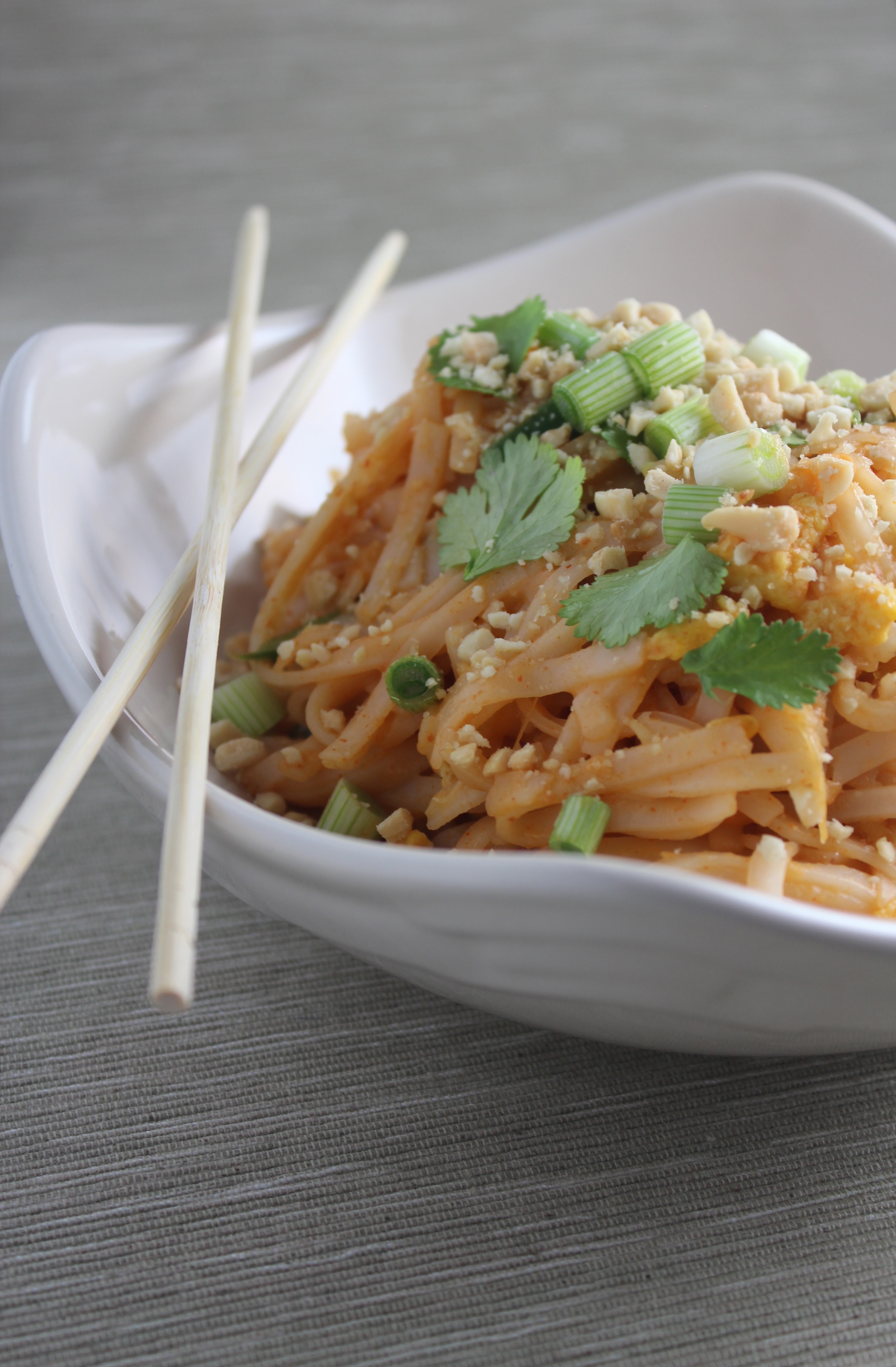 Spicy Vegetable Pad Thai Recipe Little Leopard Book