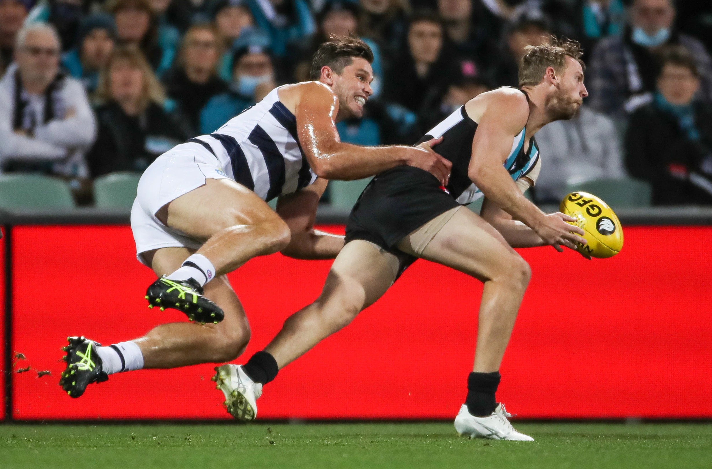 Port Adelaide Vs Geelong : Ama 6vejsvv8 M