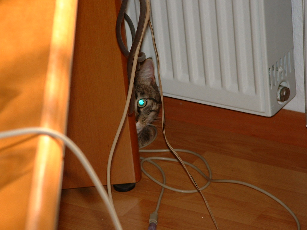 View in original post · go to parent post . Kater 001 Wo Bin Ich Denn Hier Gelandet Andromeda 956 Flickr
