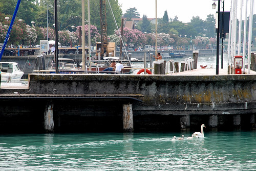 See the newest logic products from ti, download logic ic datasheets, application notes, order free samples, . Cigno al molo | Il molo e un cigno di Sirmione | fiffo