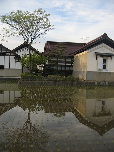 Beli kura kura sulcata terlengkap & berkualitas harga murah october 2021 terbaru di tokopedia! Kitakata Kura | Kura is the name of these old store houses