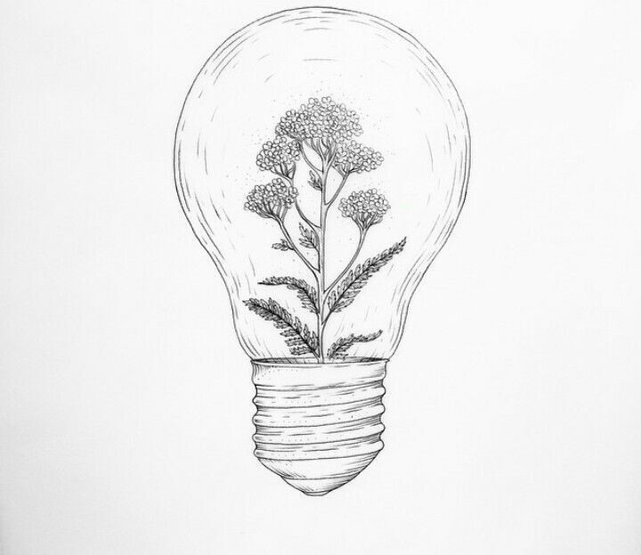 Draw a portrait of a person you wish you could meet. Flowers Drawings Inspiration Pinterest Roseclairdelune Flickr