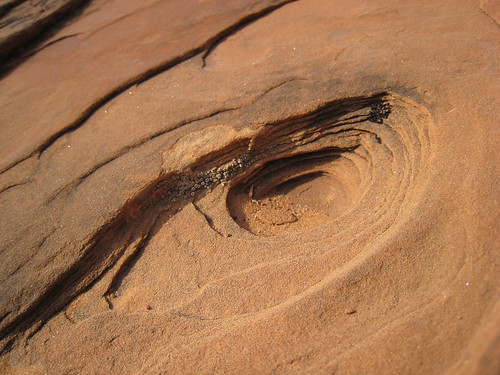 Total cases reached 2,919,632, which is the . Corona_10.jpg | hukee | Flickr