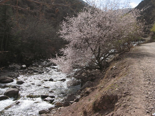 Nicknamed sisi (also sissi), she enjoyed an informal upbringing before marrying emperor franz joseph . IMG_2891 | ju_sissi | Flickr