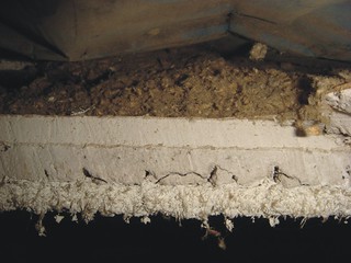 How you treat popcorn ceiling texture depends partly on whether you think the texture material contains asbestos. Cross-Section Asbestos Sprayed-On Acoustical Ceiling Syste