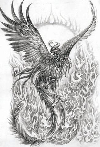 Part of my phoenix drawings. Phoenix Drawing Kklani Flickr