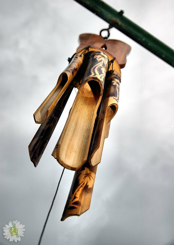 Dana white has shared what khamzat chimaev was yelling at him during his fight with li jingliang at today's ufc 267 event. Hawian Chimes | Jodie Smith | Flickr