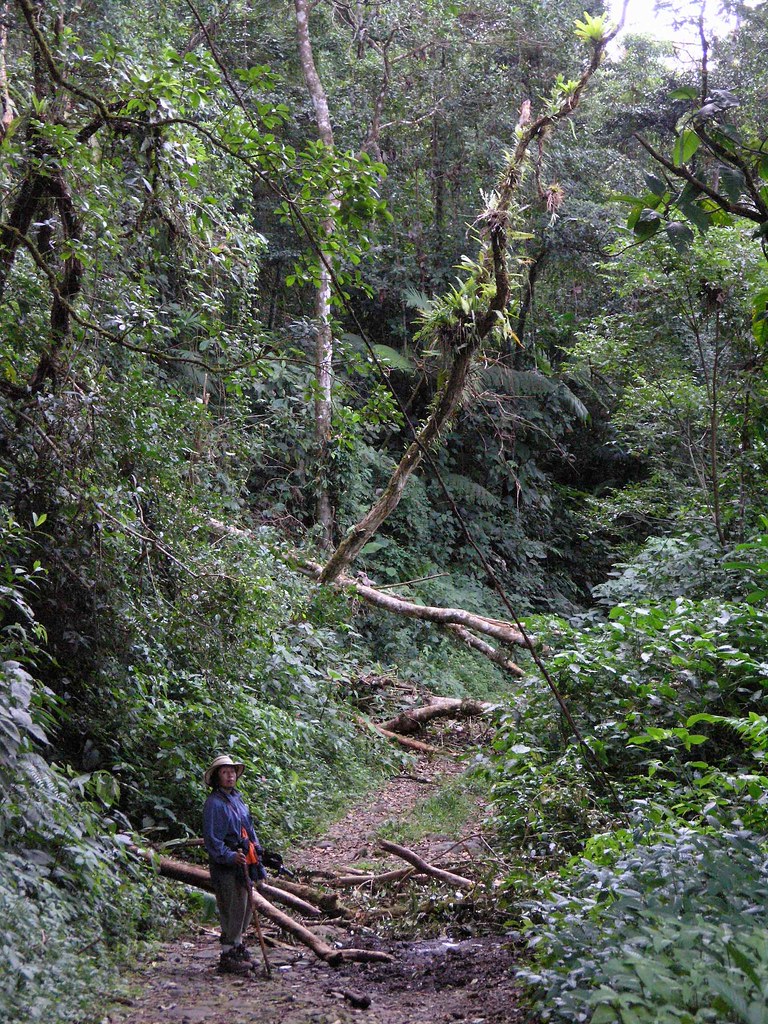 Santa fe es un parque nacional panameño creado mediante decreto ejecutivo no 147 del 11 de diciembre de 2001. Parque Nacional Santa Fe Entrada Por Alto De Piedras San Flickr